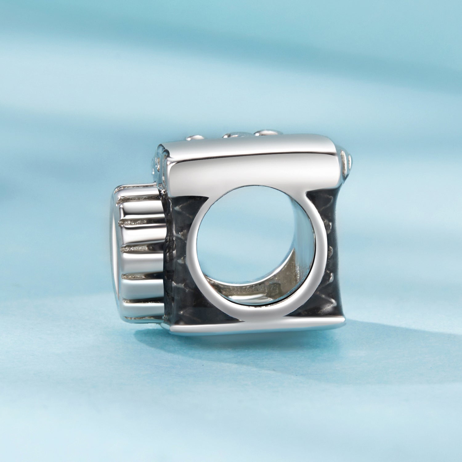 Sylvory 925 Sterling Silver Capture This Charm