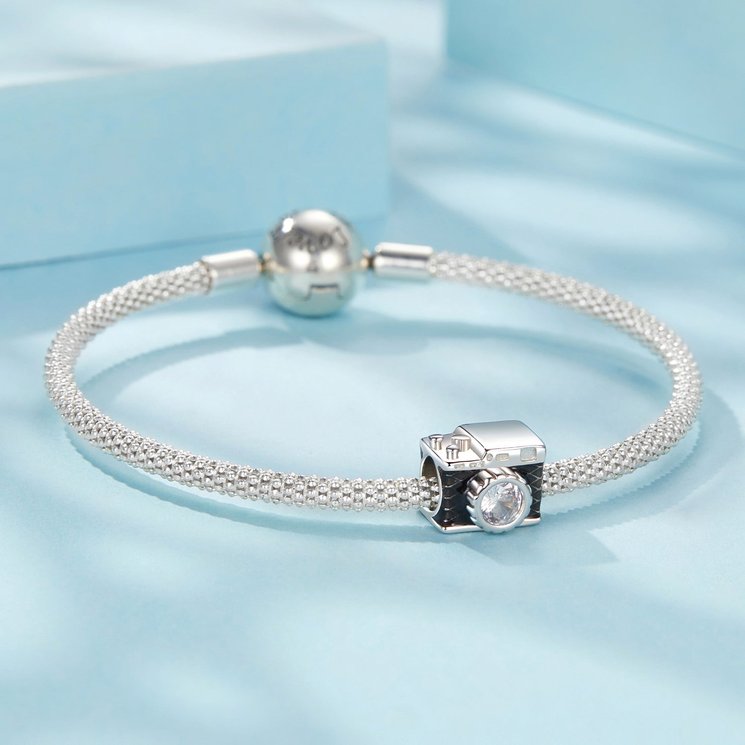 Sylvory 925 Sterling Silver Capture This Charm