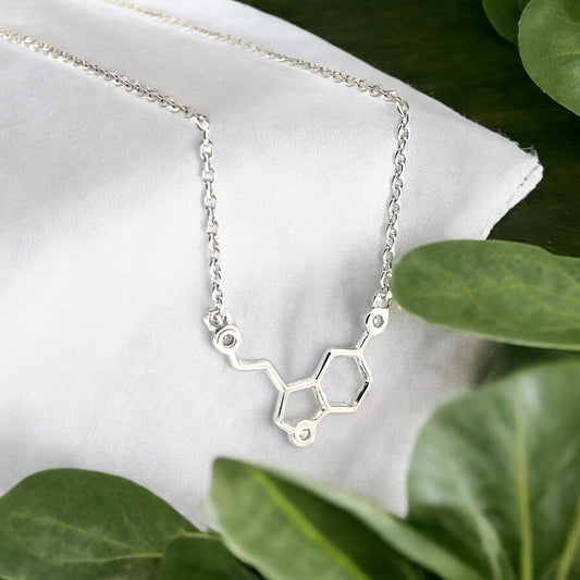 Sylvory 925 Sterling Silver Molecule Elegance Necklace