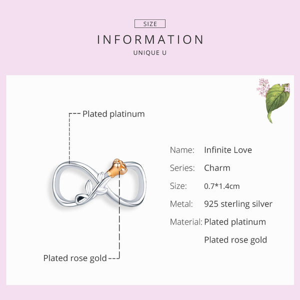 "Sylvory 925 Sterling Silver Eternal Rose Infinity Charm"