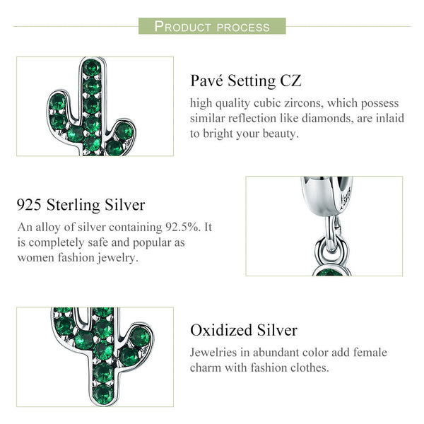 "Sylvory 925 Sterling Silver Reversible Cactus Charm"