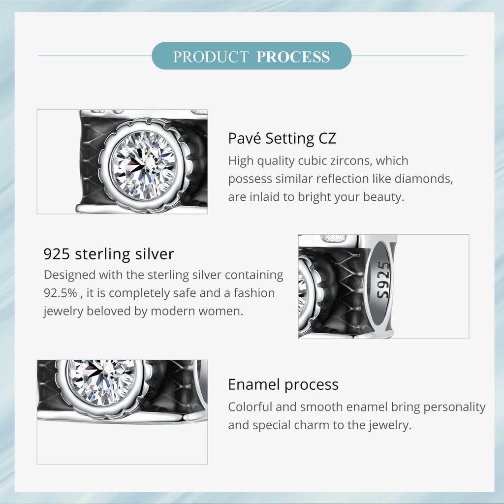 Sylvory 925 Sterling Silver Capture This Charm