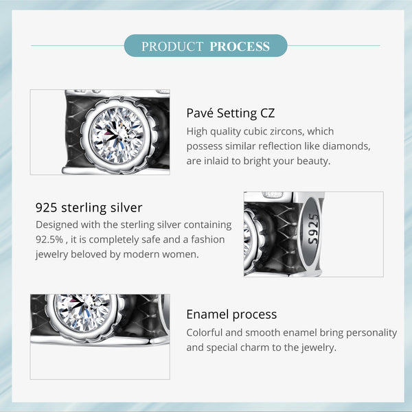 Sylvory 925 Sterling Silver Capture This Charm