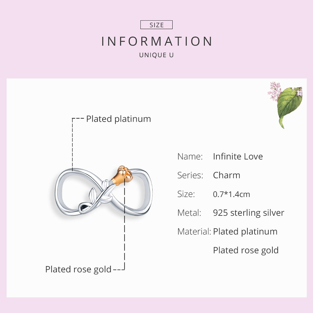 Sylvory 925 Sterling Silver Eternal Rose Infinity Charm